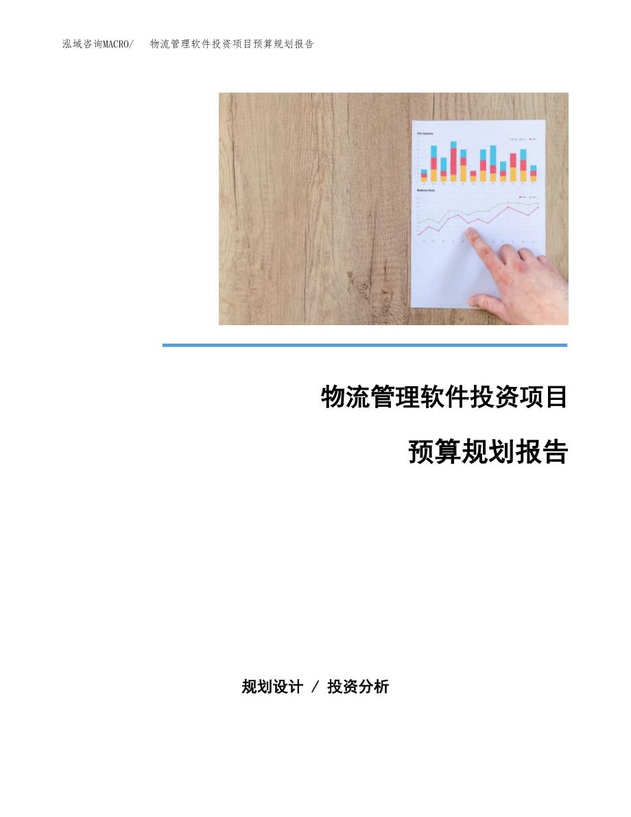 物流管理软件投资项目预算规划报告_第1页