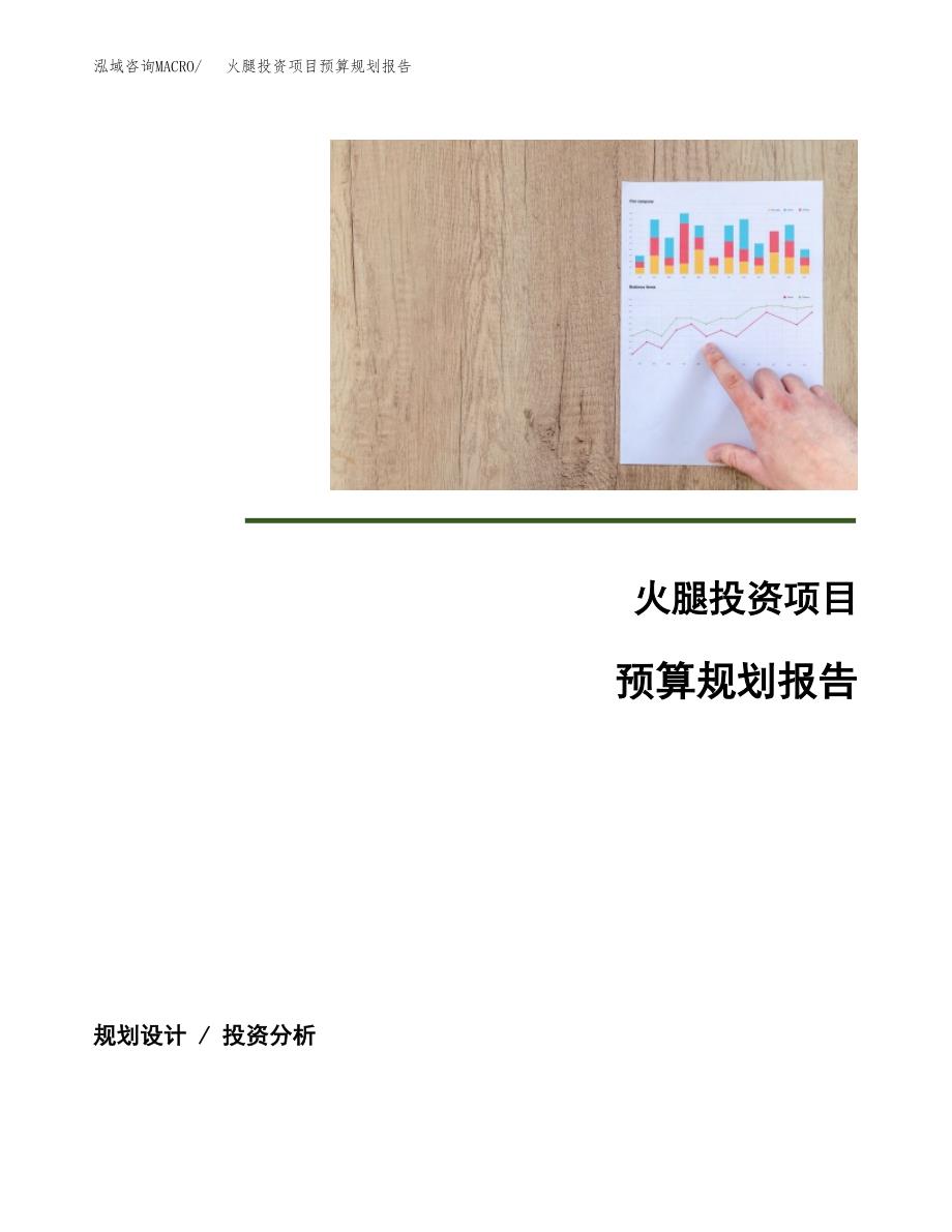 火腿投资项目预算规划报告_第1页