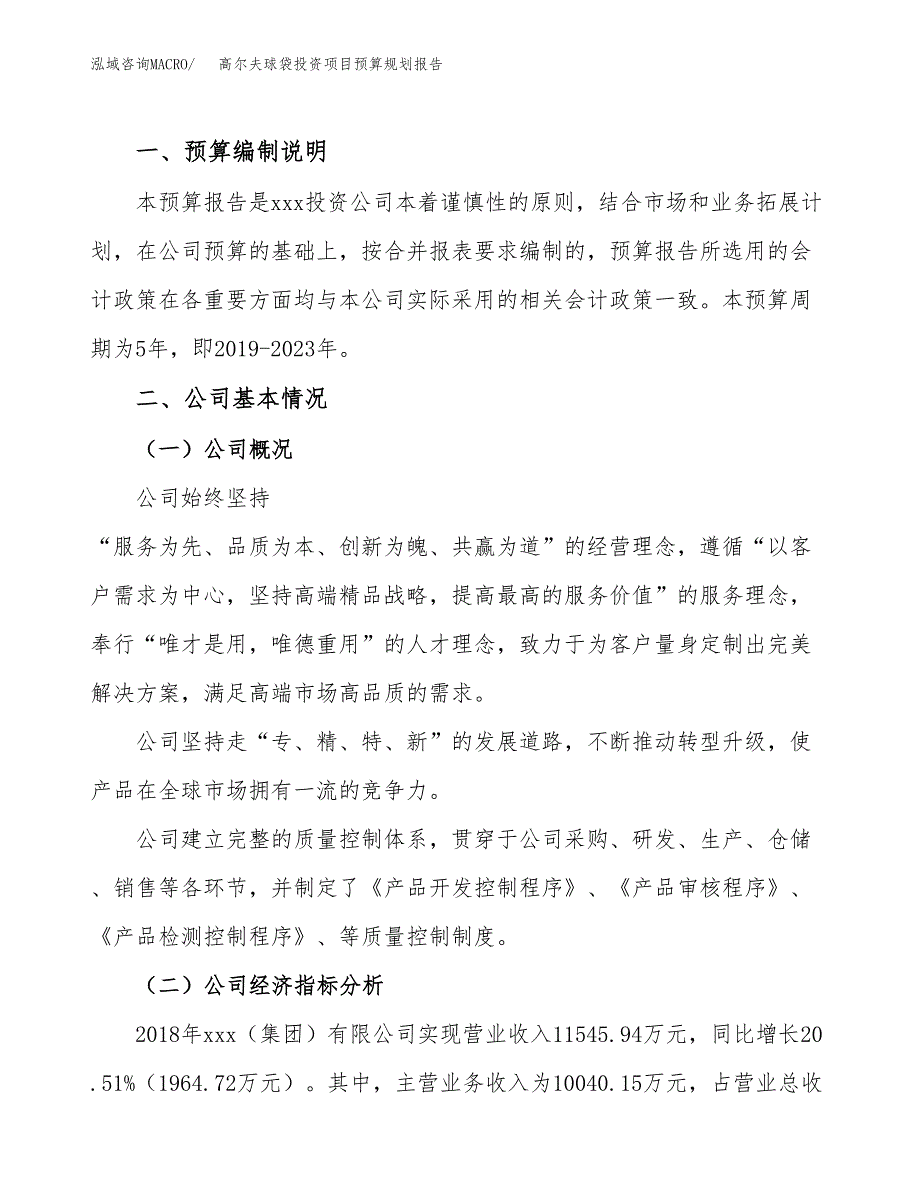 高尔夫球袋投资项目预算规划报告_第2页