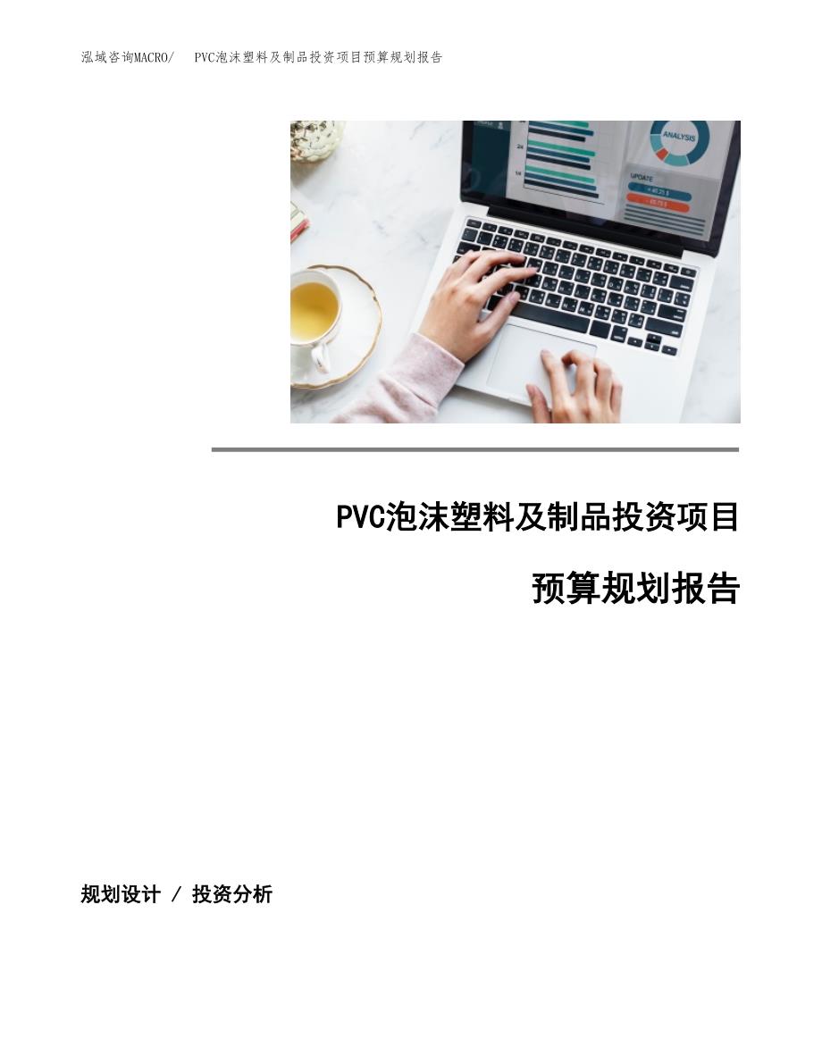 PVC泡沫塑料及制品投资项目预算规划报告_第1页