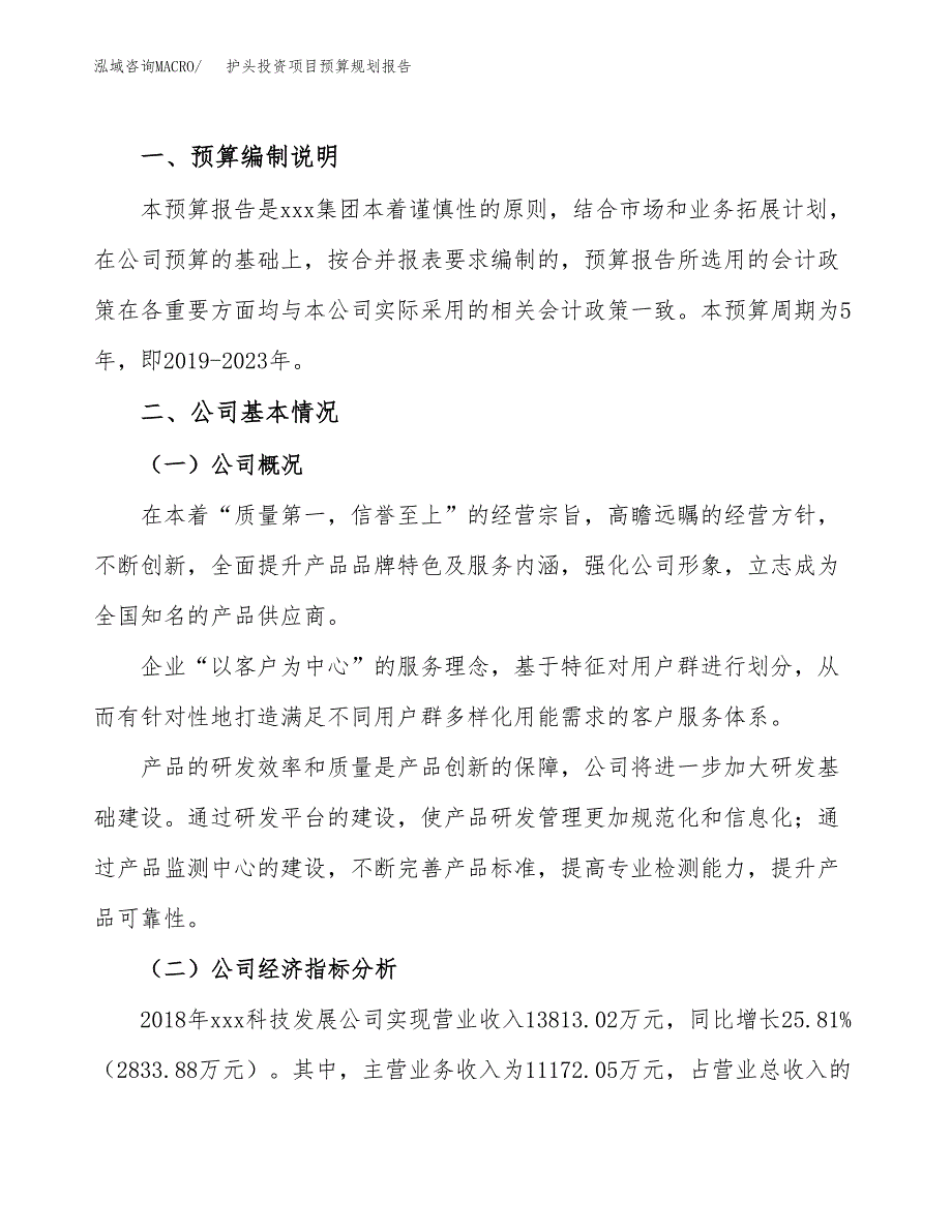 护头投资项目预算规划报告_第2页