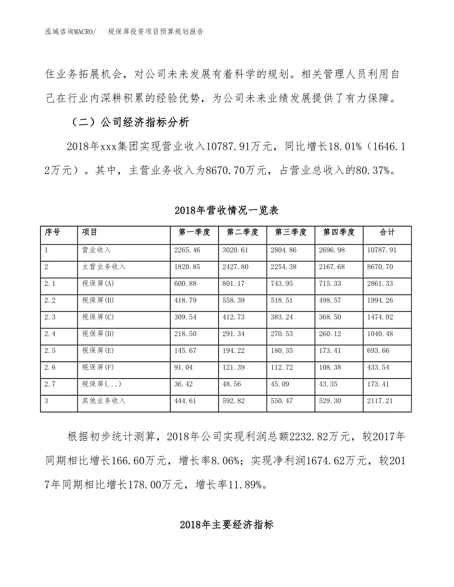 视保屏投资项目预算规划报告_第3页