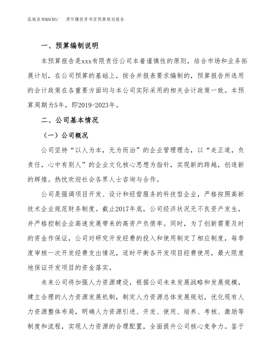 烫印膜投资项目预算规划报告_第2页