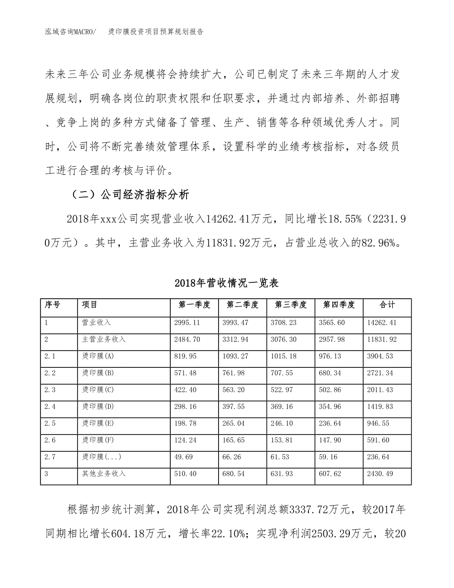 烫印膜投资项目预算规划报告_第3页