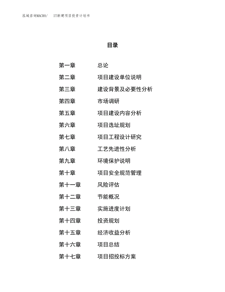 IT新建项目投资计划书_第1页