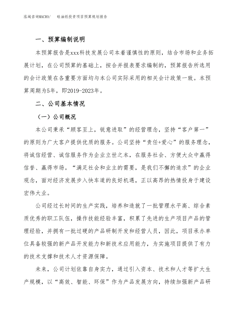 硅油纸投资项目预算规划报告_第2页