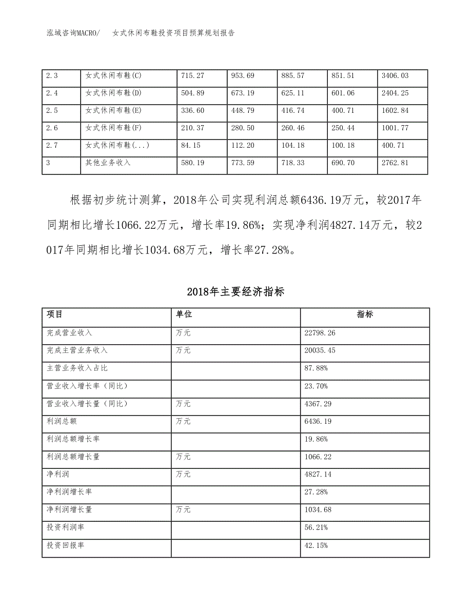 女式休闲布鞋投资项目预算规划报告_第4页