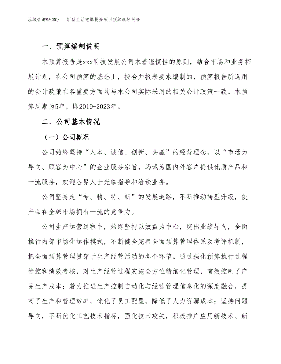 新型生活电器投资项目预算规划报告_第2页