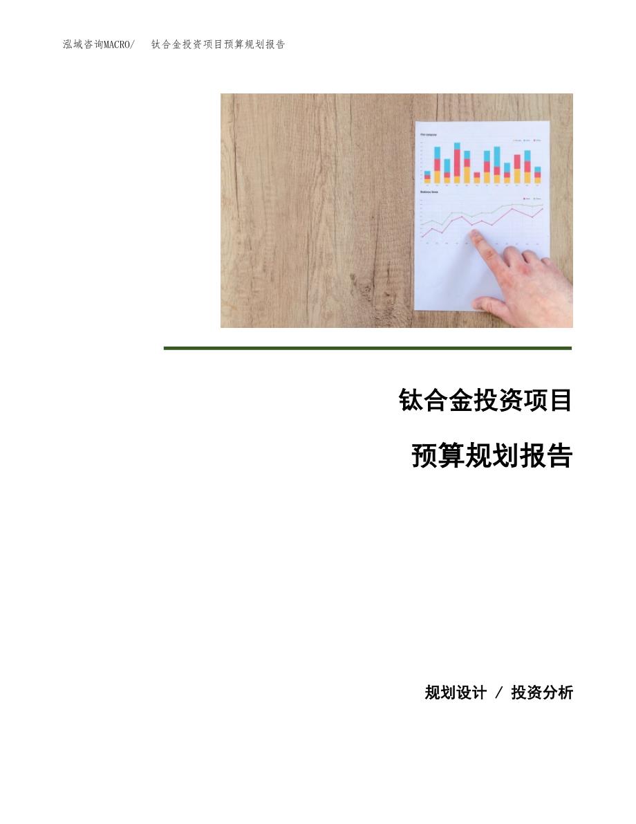 钛合金投资项目预算规划报告_第1页