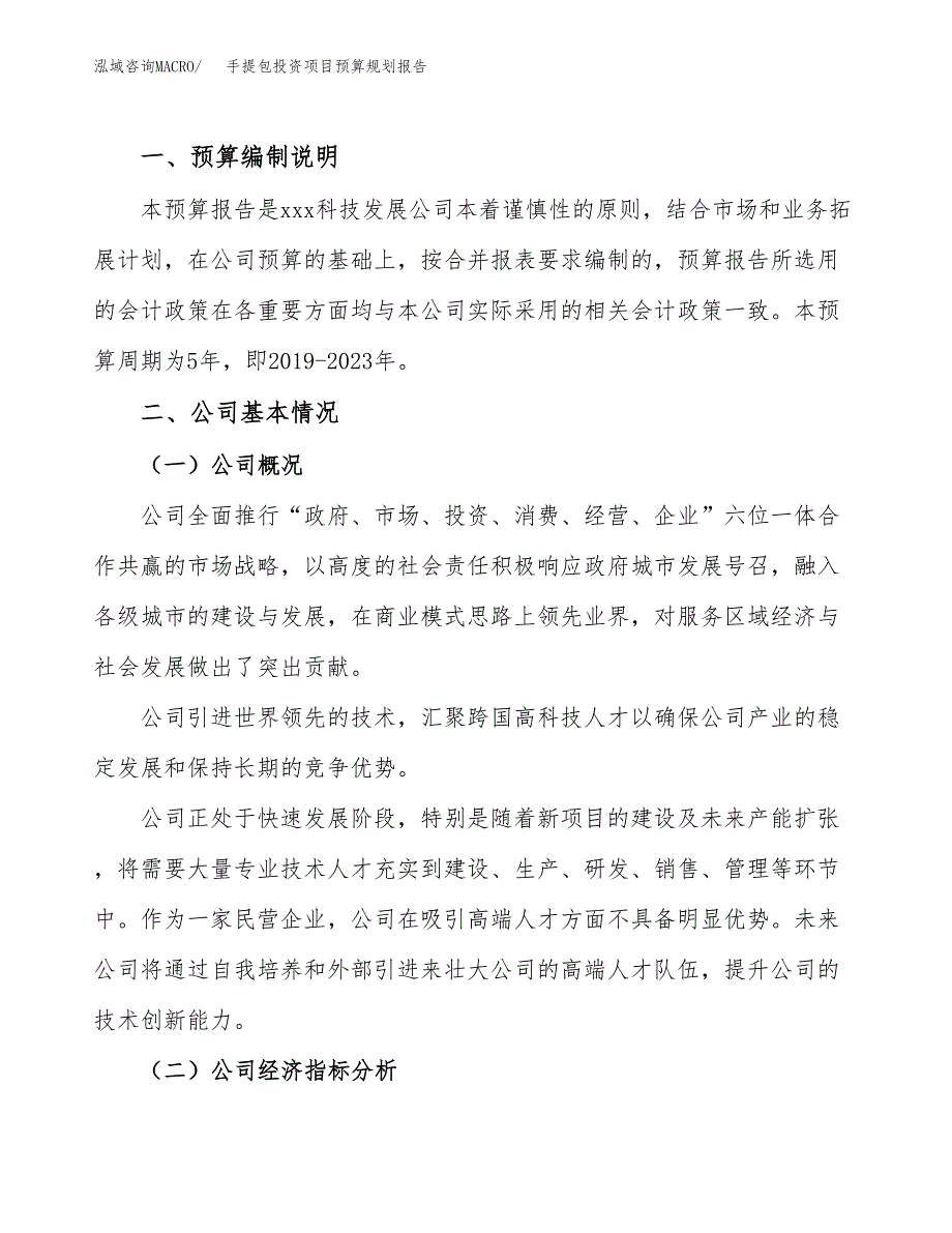 手提包投资项目预算规划报告_第2页