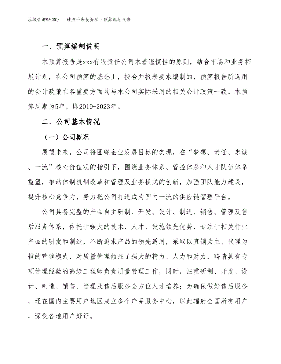 硅胶手表投资项目预算规划报告_第2页