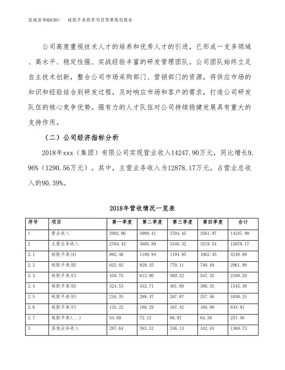 硅胶手表投资项目预算规划报告_第3页