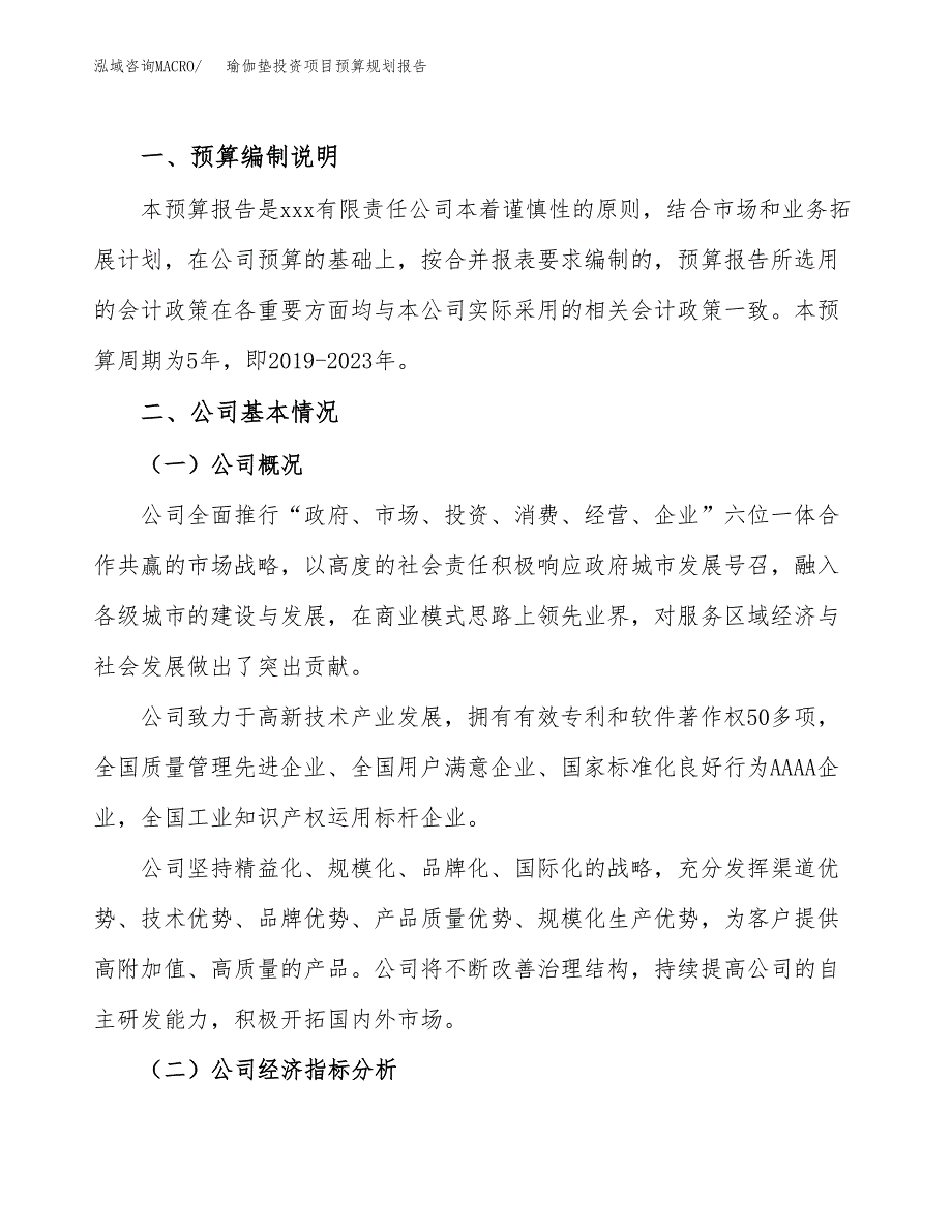 瑜伽垫投资项目预算规划报告_第2页