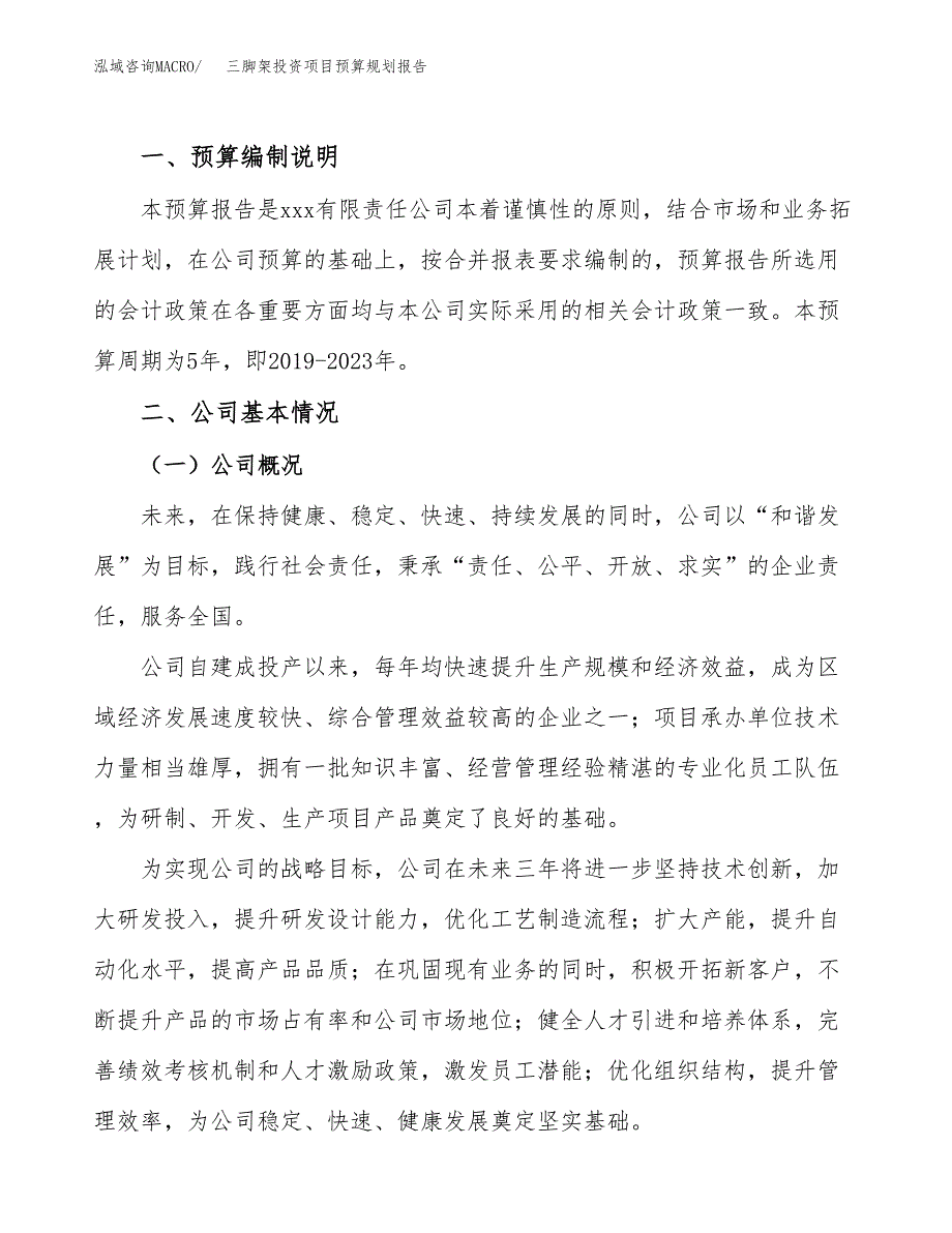 三脚架投资项目预算规划报告_第2页