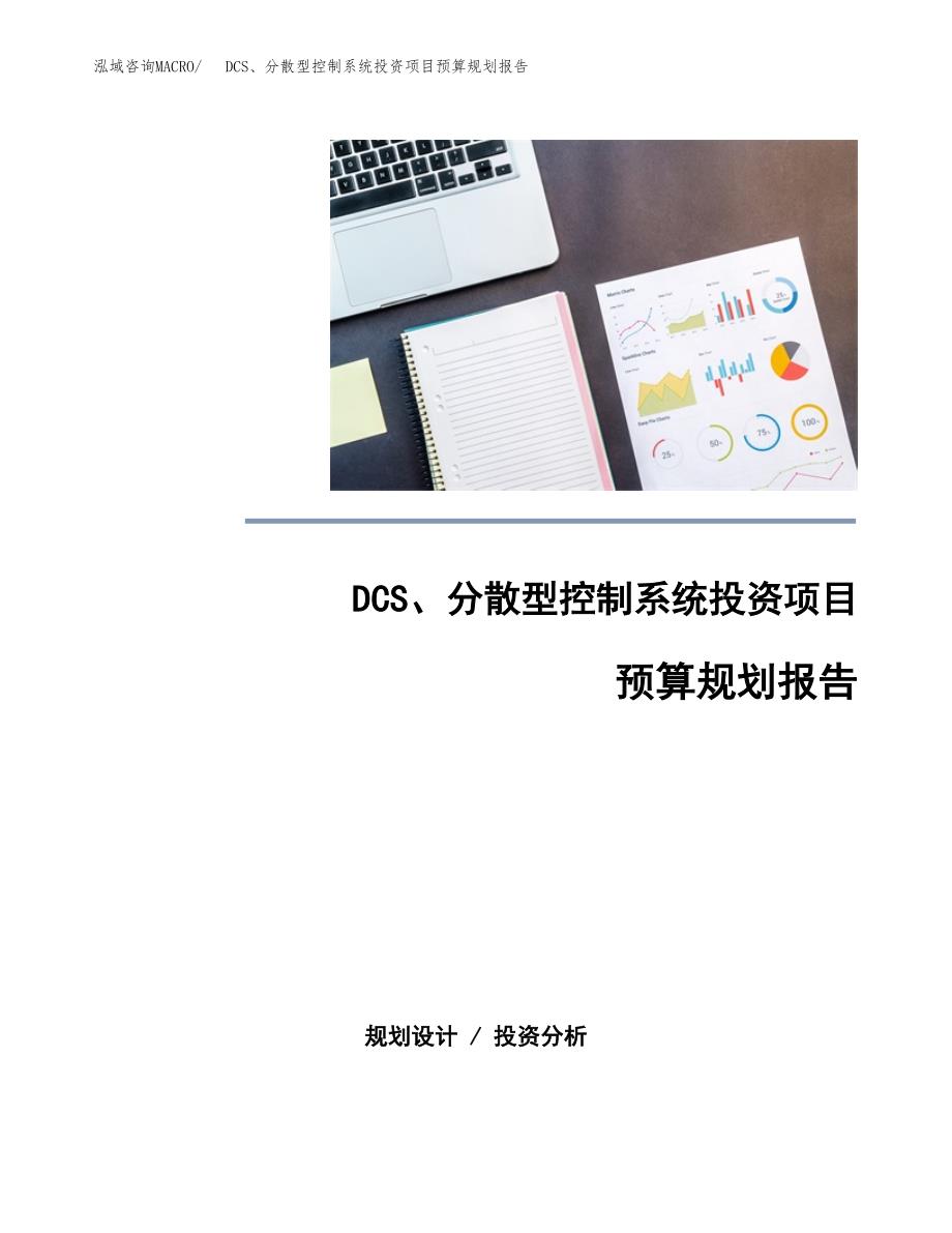 DCS、分散型控制系统投资项目预算规划报告_第1页