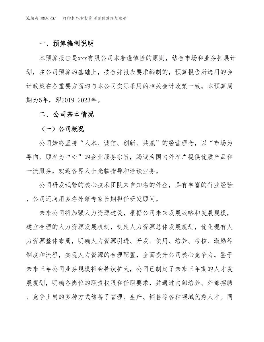 打印机耗材投资项目预算规划报告_第2页