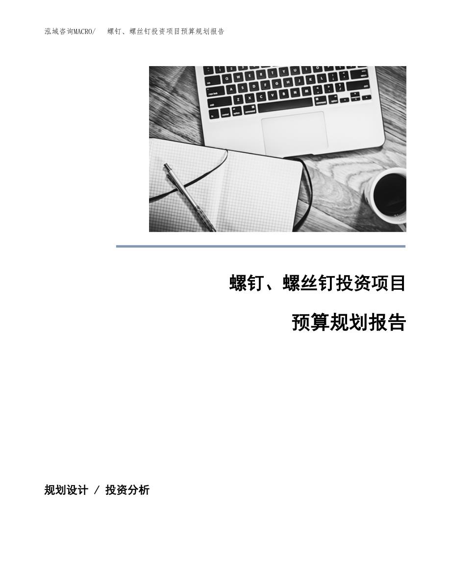 螺钉、螺丝钉投资项目预算规划报告_第1页