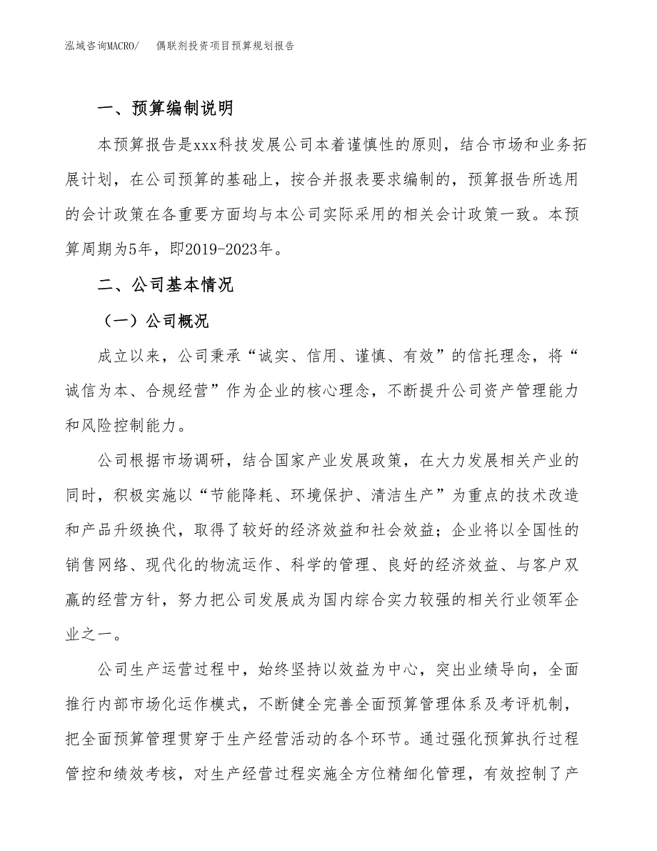 偶联剂投资项目预算规划报告_第2页