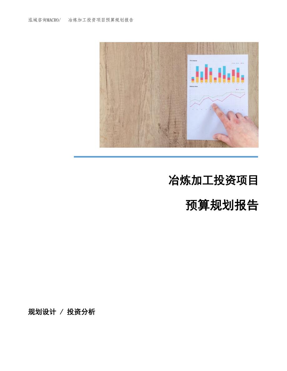 冶炼加工投资项目预算规划报告_第1页