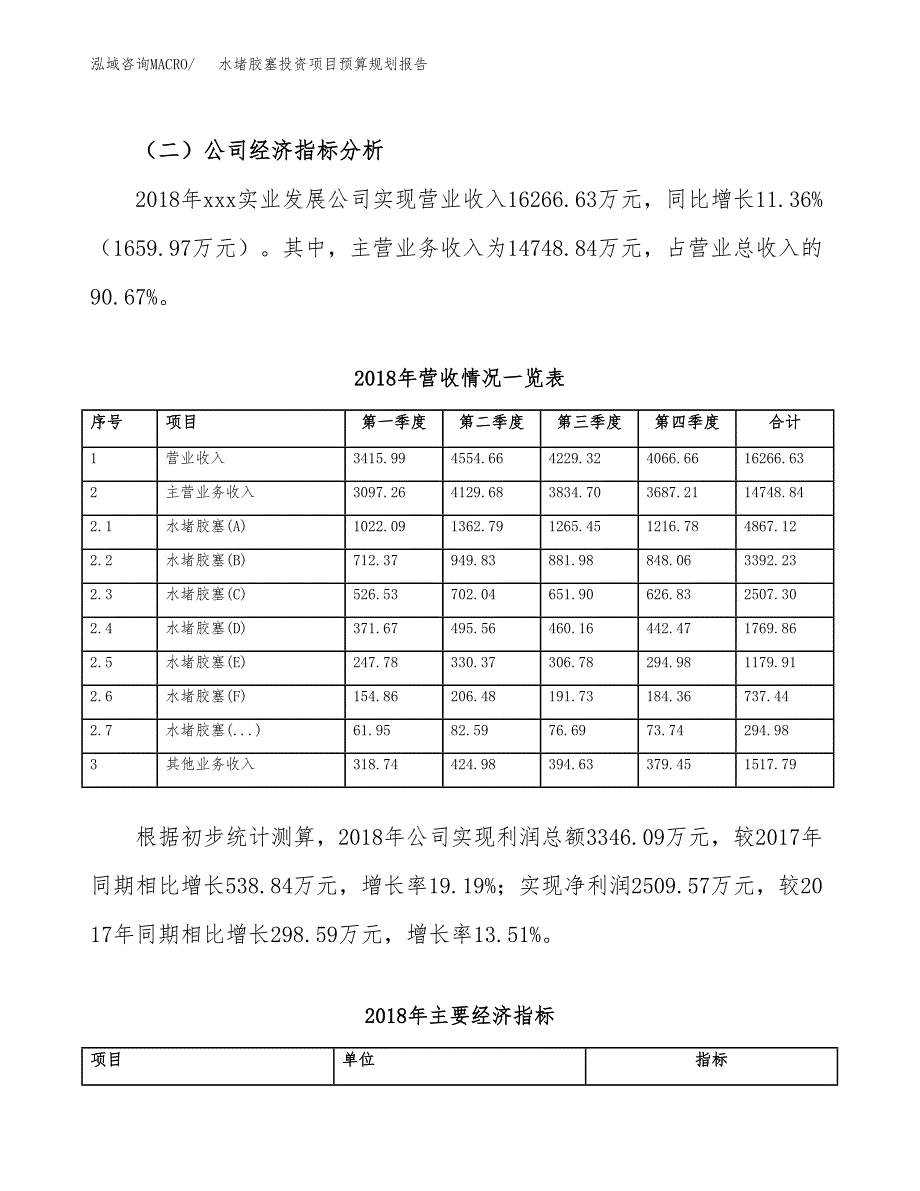 水堵胶塞投资项目预算规划报告_第3页