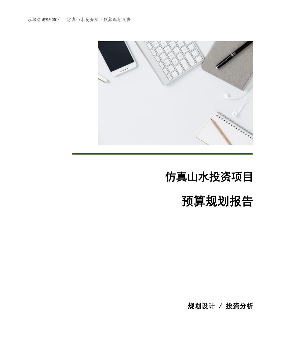 仿真山水投资项目预算规划报告_第1页