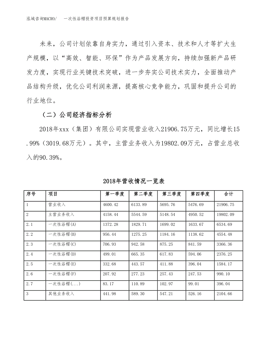 一次性浴帽投资项目预算规划报告_第3页