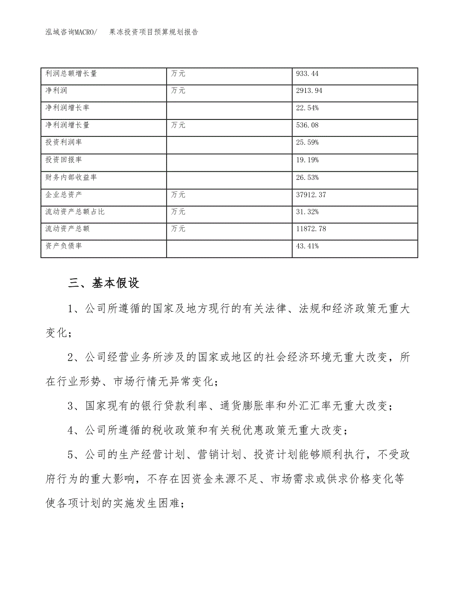 果冻投资项目预算规划报告_第4页