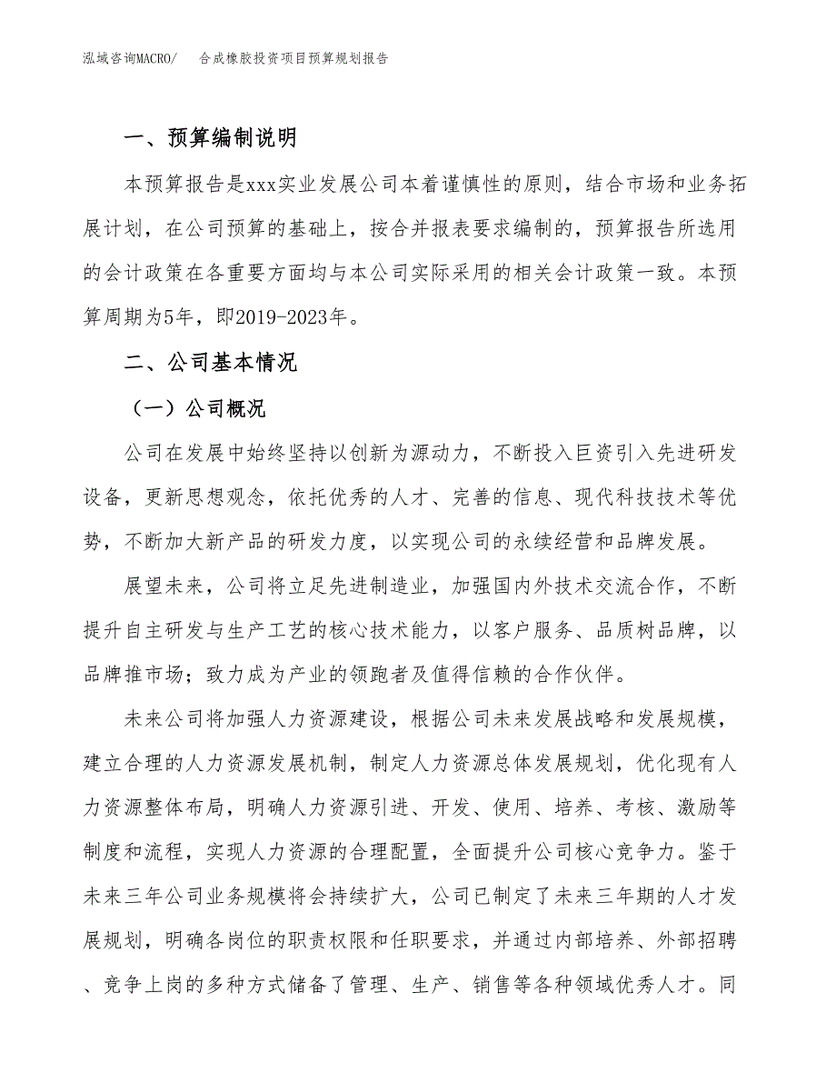 合成橡胶投资项目预算规划报告_第2页