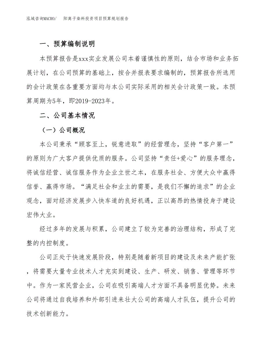 阳离子染料投资项目预算规划报告_第2页