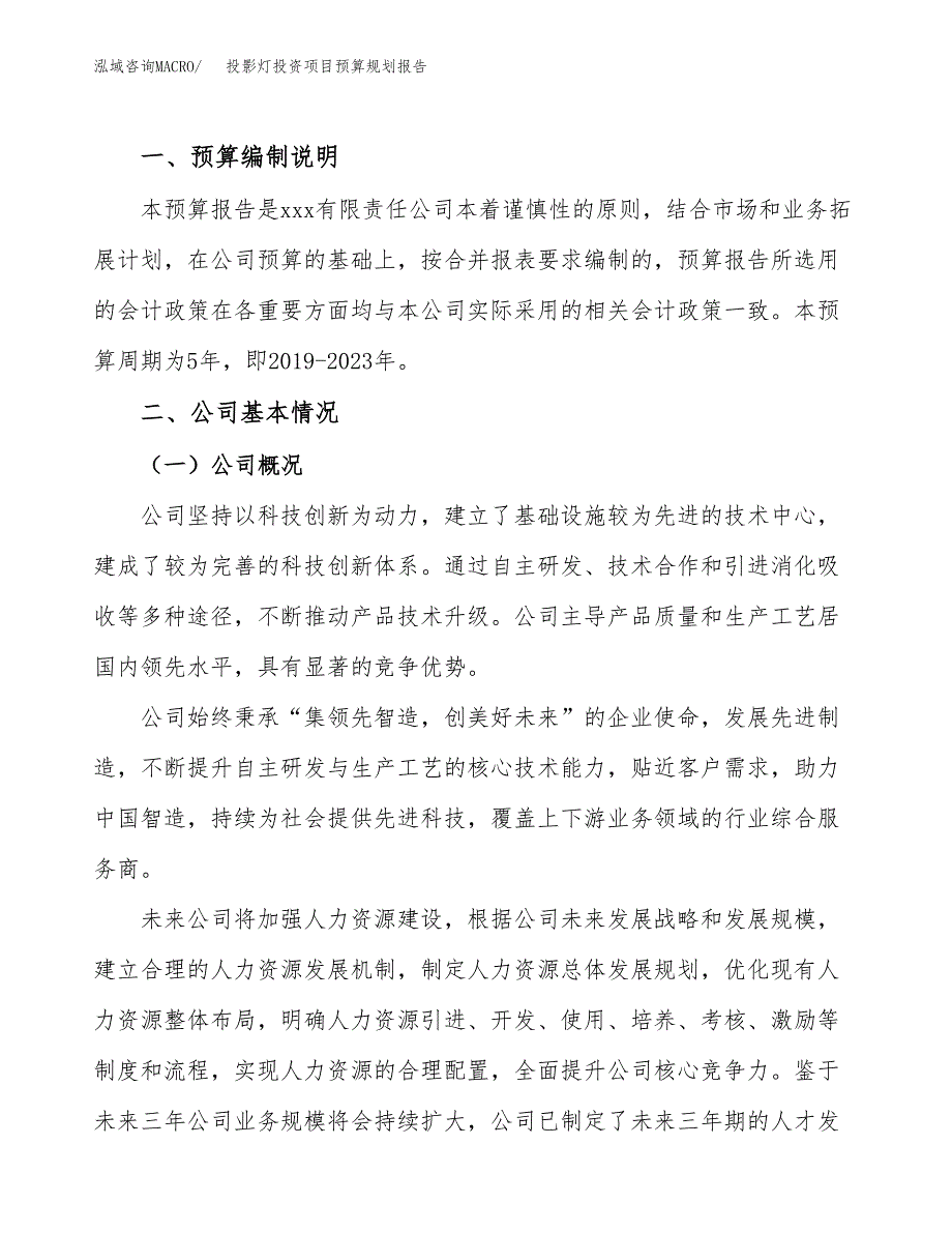 投影灯投资项目预算规划报告_第2页