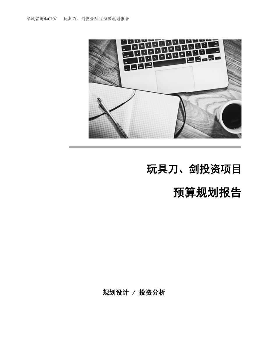 玩具刀、剑投资项目预算规划报告_第1页