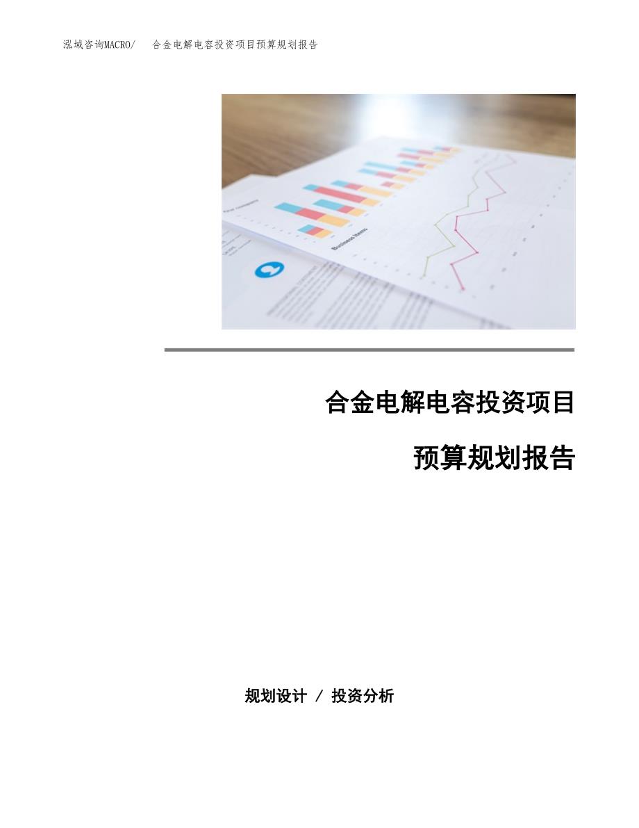 合金电解电容投资项目预算规划报告_第1页