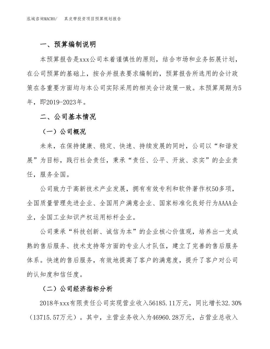 真皮带投资项目预算规划报告_第2页