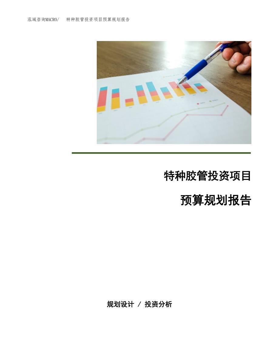 特种胶管投资项目预算规划报告_第1页