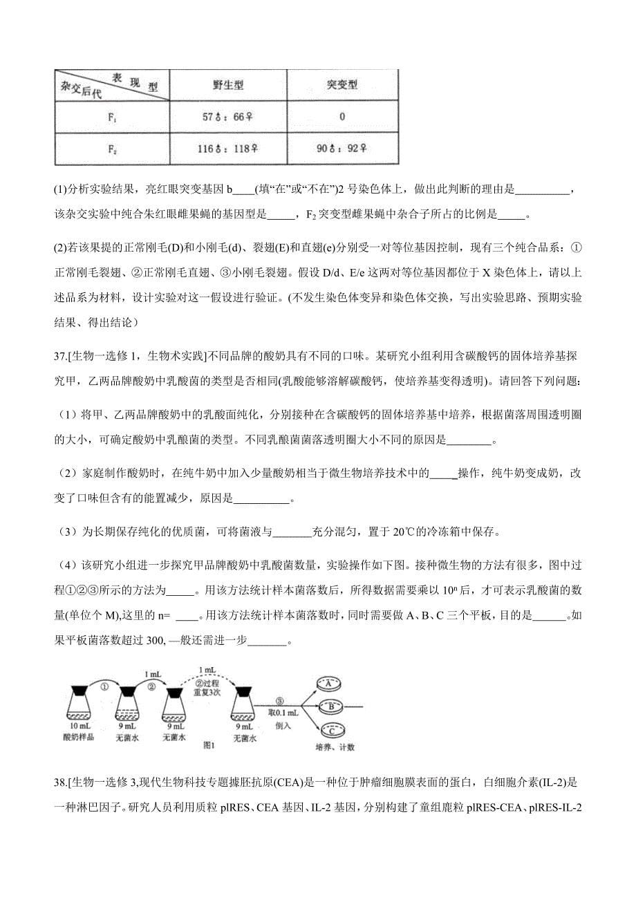 湖南省百所重点名校大联考2019届高三高考冲刺理科综合生物试卷附答案_第5页