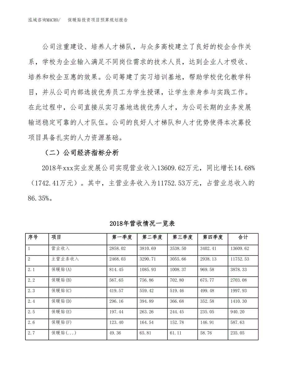 保暖贴投资项目预算规划报告_第3页