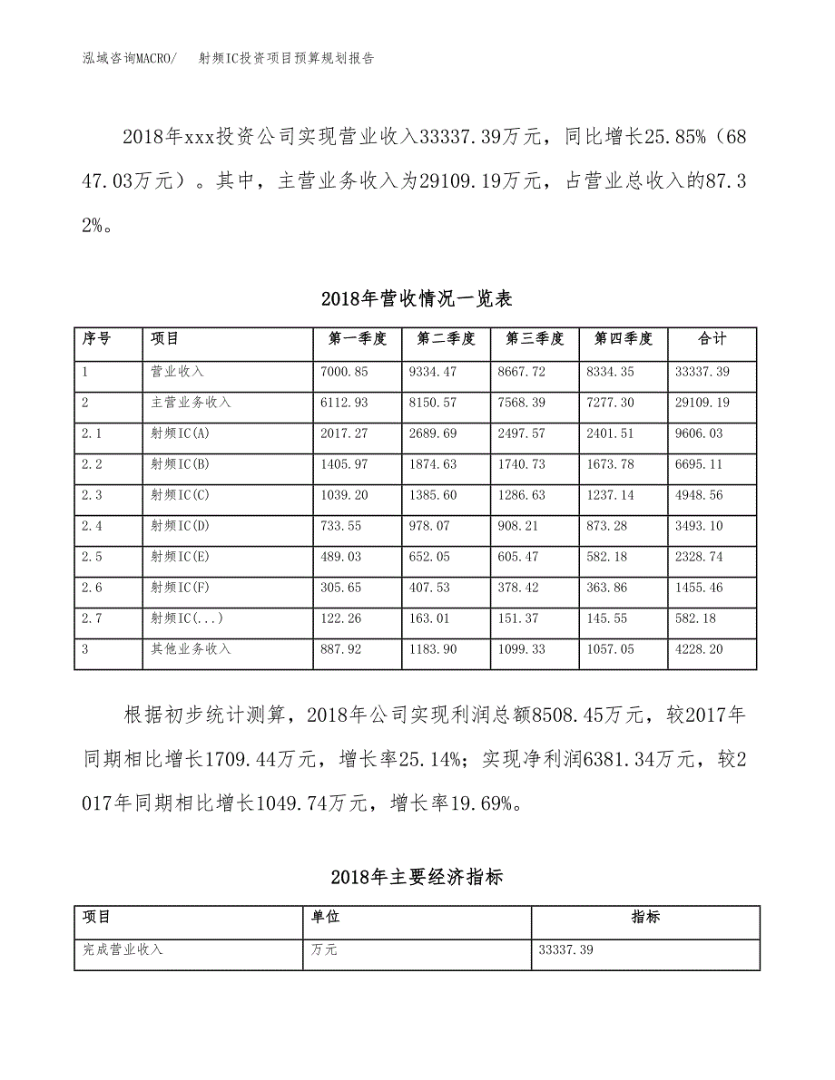 射频IC投资项目预算规划报告_第3页