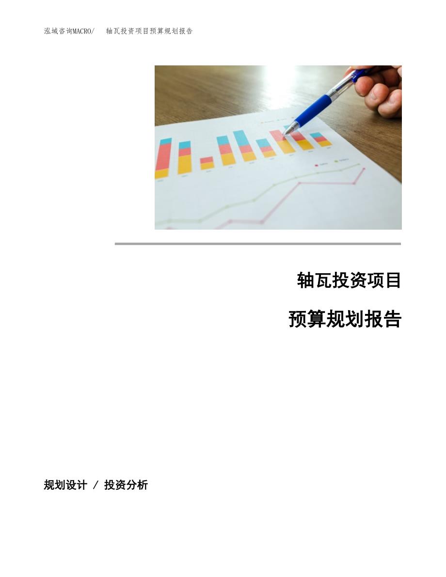 轴瓦投资项目预算规划报告_第1页