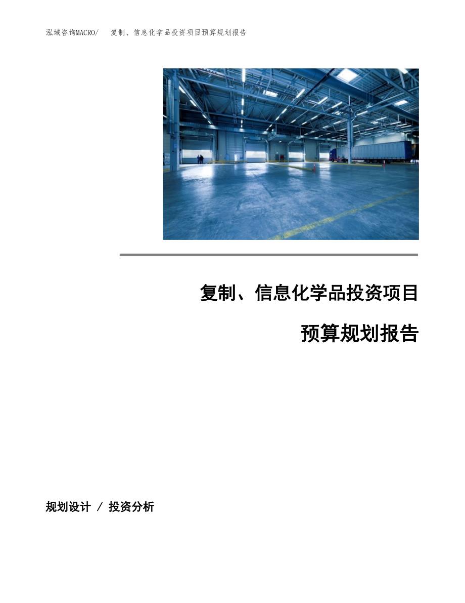 复制、信息化学品投资项目预算规划报告_第1页