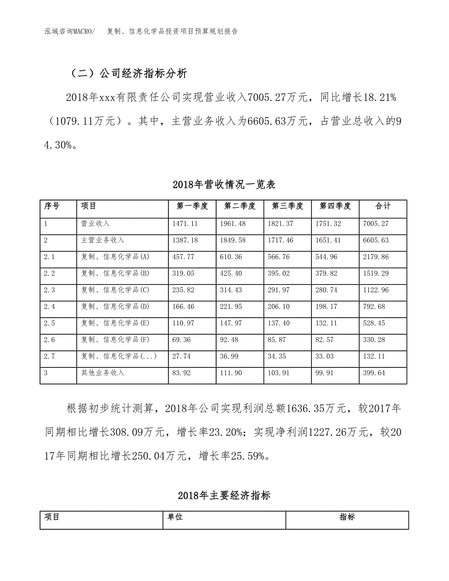 复制、信息化学品投资项目预算规划报告_第3页