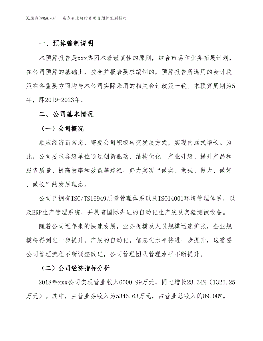 高尔夫球钉投资项目预算规划报告_第2页