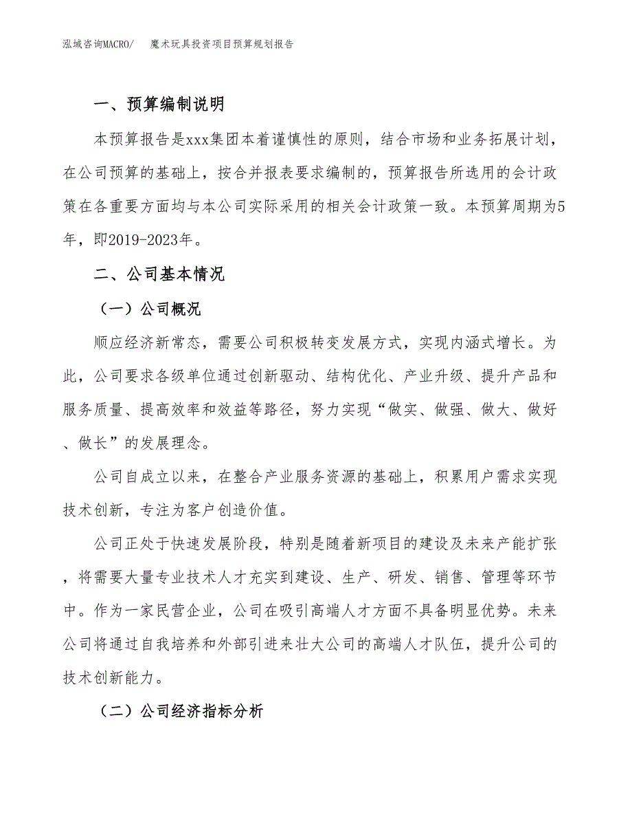 魔术玩具投资项目预算规划报告_第2页