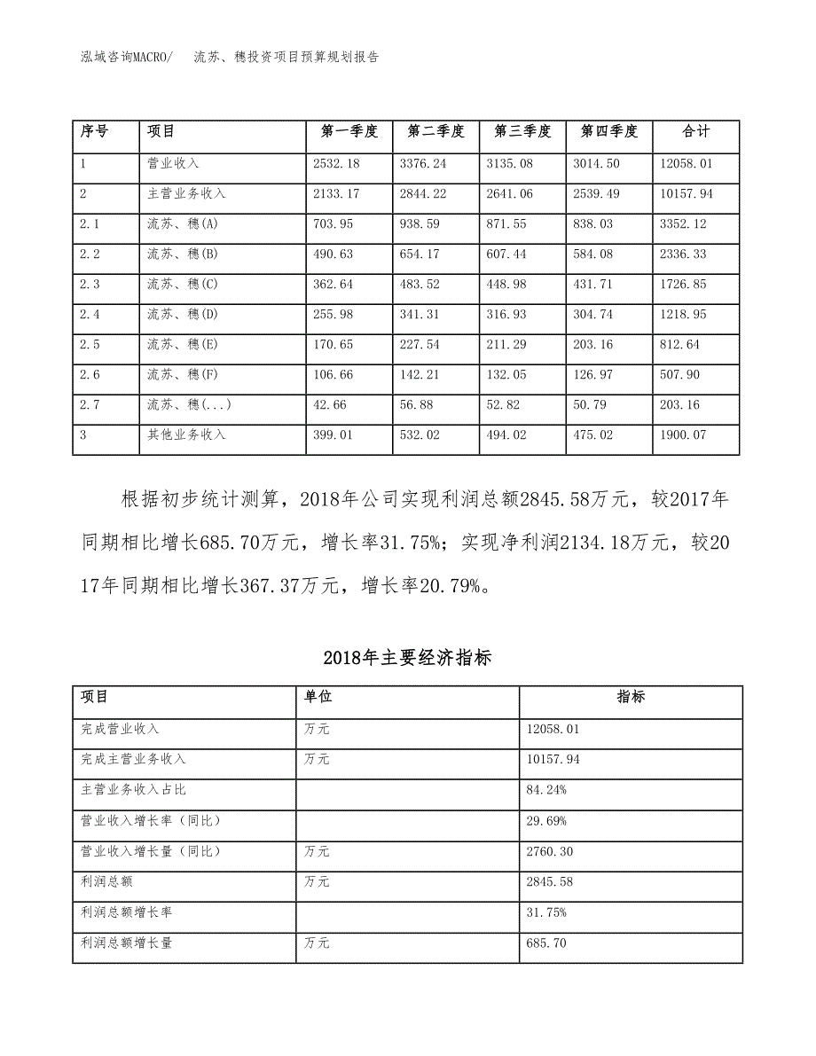 流苏、穗投资项目预算规划报告_第4页