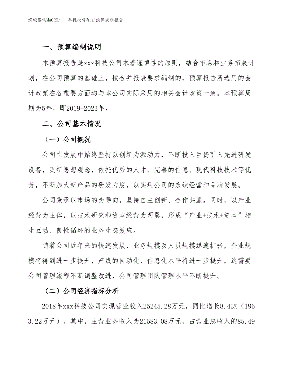 单靴投资项目预算规划报告_第2页