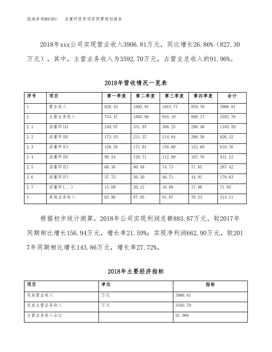 活塞环投资项目预算规划报告_第3页