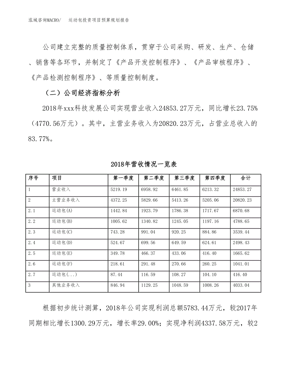 运动包投资项目预算规划报告_第3页