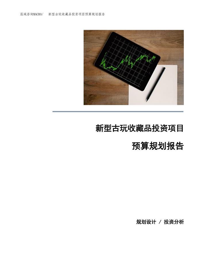 新型古玩收藏品投资项目预算规划报告