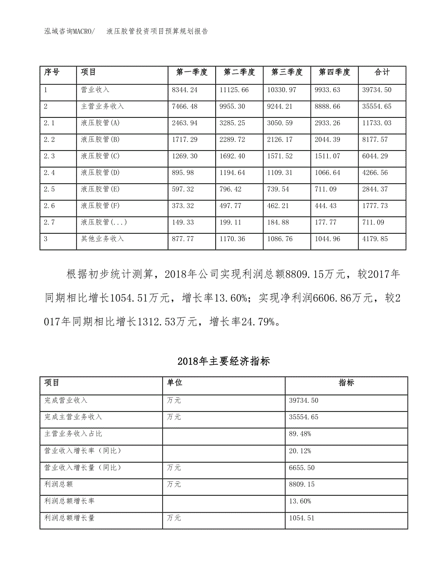 液压胶管投资项目预算规划报告_第3页