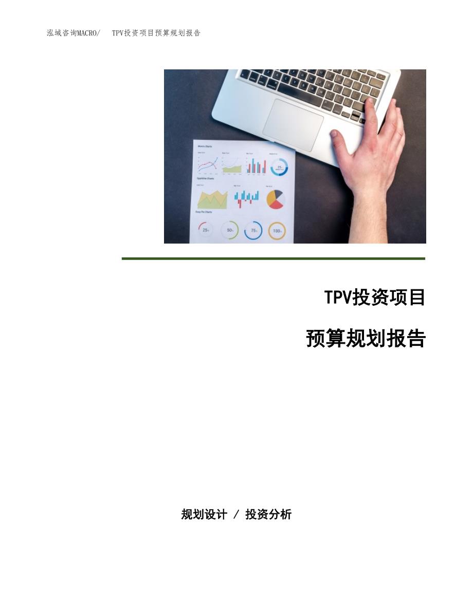 TPV投资项目预算规划报告_第1页