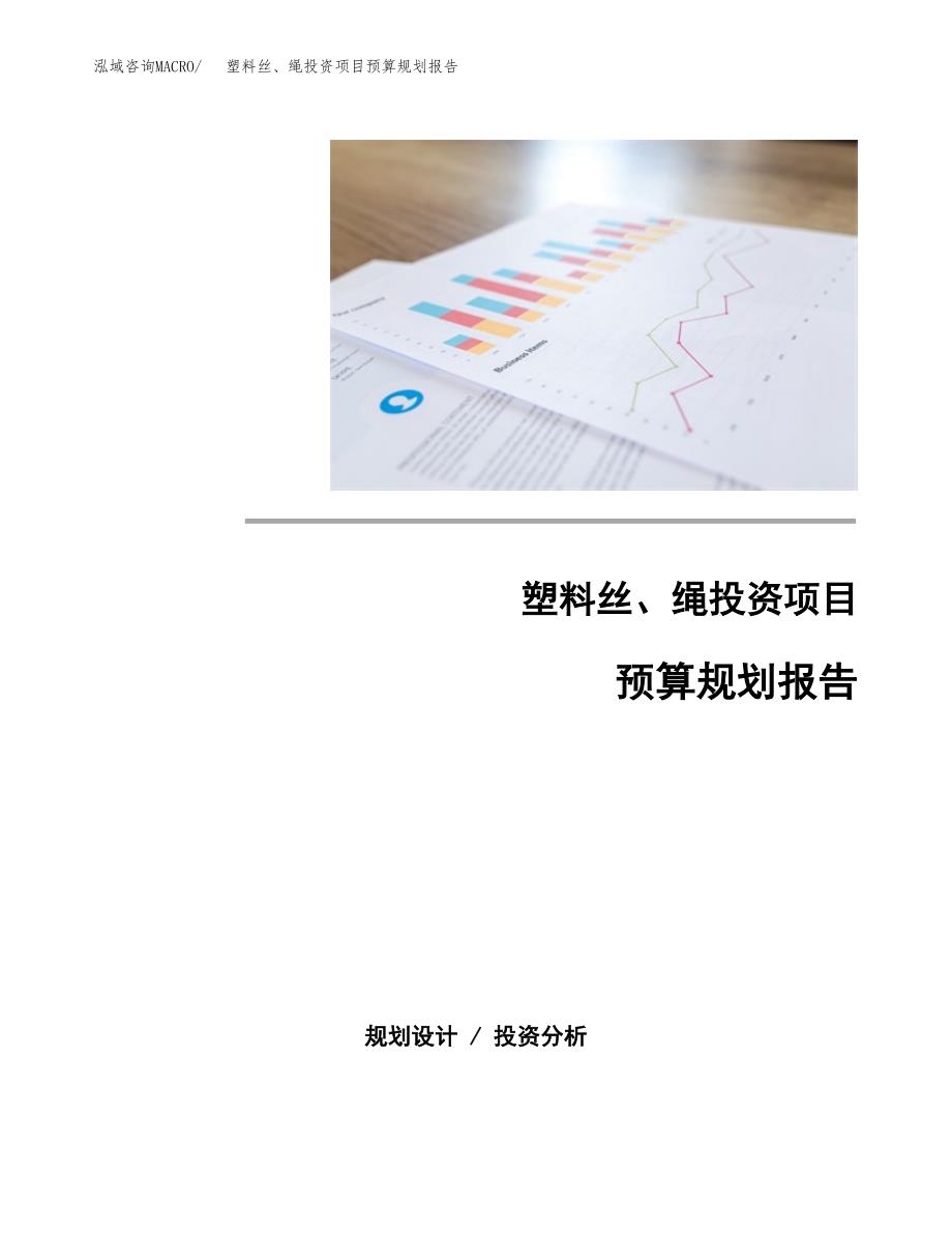 塑料丝、绳投资项目预算规划报告_第1页